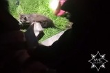 Фото: В Минском районе работники МЧС спасли упавшего в колодец котенка Фото: В Минском районе работники МЧС спасли упавшего в колодец котенка