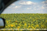 Фото: Как пользоваться кондиционером в жару без вреда для здоровья, рассказали в ГАИ Фото: Как пользоваться кондиционером в жару без вреда для здоровья, рассказали в ГАИ
