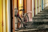 Фото: Минтруда установило нормы обеспечения соцработников велосипедами и электровелосипедами Фото: Минтруда установило нормы обеспечения соцработников велосипедами и электровелосипедами