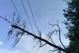 Фото: Последствия разгула стихии устраняют в Гродненской области Фото: Последствия разгула стихии устраняют в Гродненской области