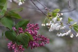 Фото: Почти лето. В воскресенье синоптики обещают до +26°С Фото: Почти лето. В воскресенье синоптики обещают до +26°С