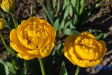 Фото: После жары в Беларуси похолодает? Прогноз погоды на неделю с 4 по 10 мая Фото: После жары в Беларуси похолодает? Прогноз погоды на неделю с 4 по 10 мая