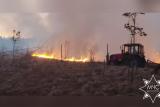 Фото: Лесной пожар площадью 10 га ликвидировали в Гродненском районе Фото: Лесной пожар площадью 10 га ликвидировали в Гродненском районе
