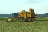 Фото: Уборка сахарной свёклы в сельхозпредприятиях «Ёдки-Агро», «Можейково» и совхоз «Лидский» Фото: Уборка сахарной свёклы в сельхозпредприятиях «Ёдки-Агро», «Можейково» и совхоз «Лидский»