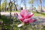 Фото: Оранжевый уровень опасности из-за жары объявлен в Беларуси 6 мая Фото: Оранжевый уровень опасности из-за жары объявлен в Беларуси 6 мая