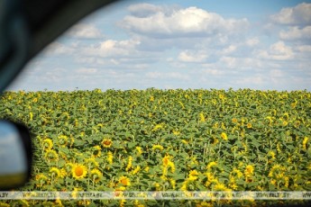 Фото: Как пользоваться кондиционером в жару без вреда для здоровья, рассказали в ГАИ Фото: Как пользоваться кондиционером в жару без вреда для здоровья, рассказали в ГАИ