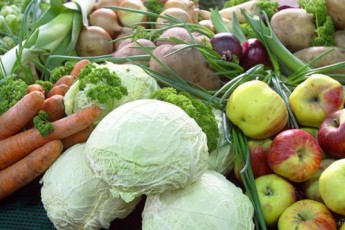 Фото: Корреспондент вернулся с рынка: что почем? Семена, саженцы и первая клубника Фото: Корреспондент вернулся с рынка: что почем? Семена, саженцы и первая клубника