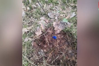 Фото: Восьмиклассник из Лиды стал курьером наркоторговцев: ему грозит до 15 лет лишения свободы Фото: Восьмиклассник из Лиды стал курьером наркоторговцев: ему грозит до 15 лет лишения свободы