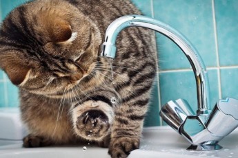 Фото: График отключения горячей воды в Лиде на 2026 год Фото: График отключения горячей воды в Лиде на 2026 год