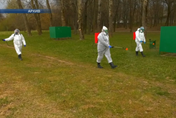 Фото: В Лидском районе всё чаще фиксируют укусы паразитов Фото: В Лидском районе всё чаще фиксируют укусы паразитов
