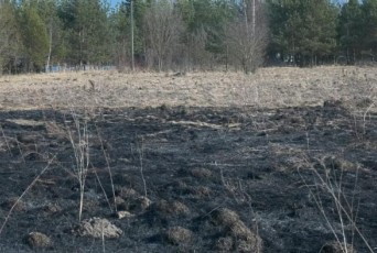 Фото: В Лидском районе участилось количество происшествий, связанных с возгоранием сухой растительности Фото: В Лидском районе участилось количество происшествий, связанных с возгоранием сухой растительности