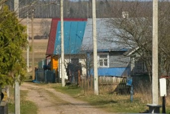 Фото: Как распознать и уничтожить опасные инвазивные растения Фото: Как распознать и уничтожить опасные инвазивные растения