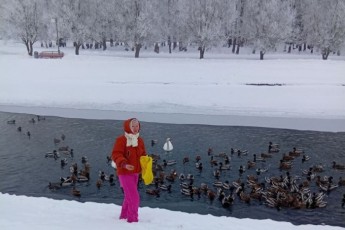 Фото: Лебединая верность: история о неравнодушии, которое согрело Лиду этой зимой Фото: Лебединая верность: история о неравнодушии, которое согрело Лиду этой зимой