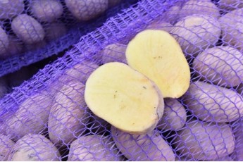 Фото: Какую картошку лучше не есть, даже если выбрасывать жалко: совет эколога Фото: Какую картошку лучше не есть, даже если выбрасывать жалко: совет эколога