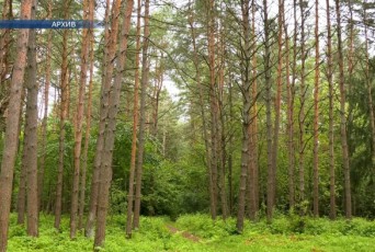 Фото: В Лидском районе введен запрет на посещение лесов Фото: В Лидском районе введен запрет на посещение лесов