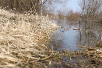 Фото: На каких реках Беларуси произойдет рост уровней воды, рассказали гидрологи Фото: На каких реках Беларуси произойдет рост уровней воды, рассказали гидрологи